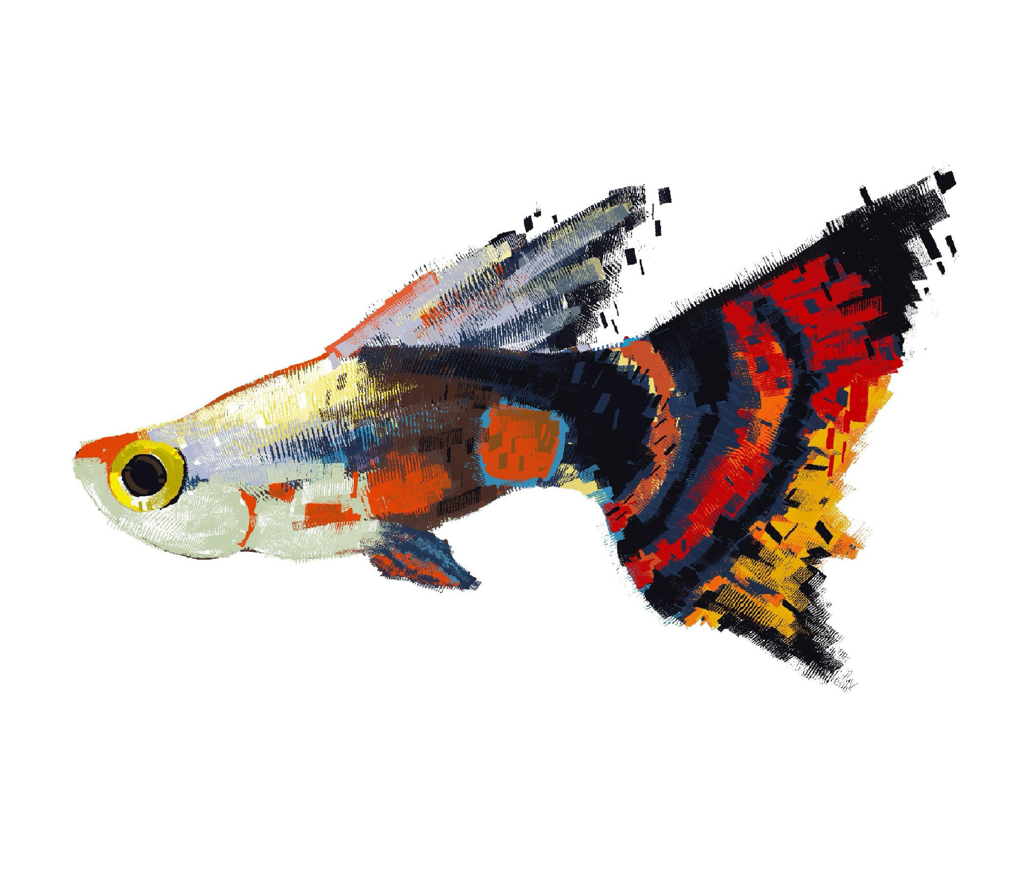Guppy Illustration