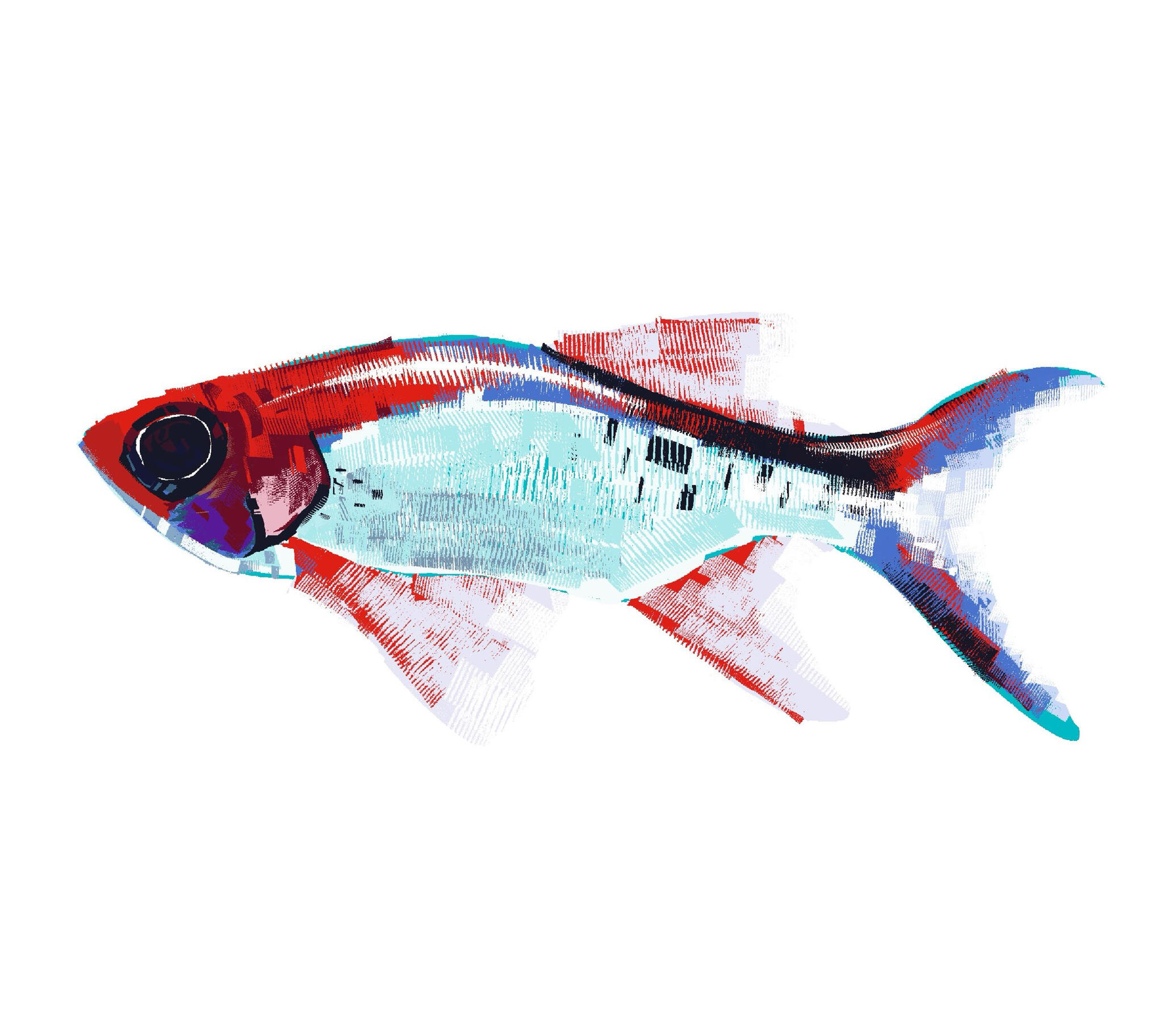 Tetra illustration