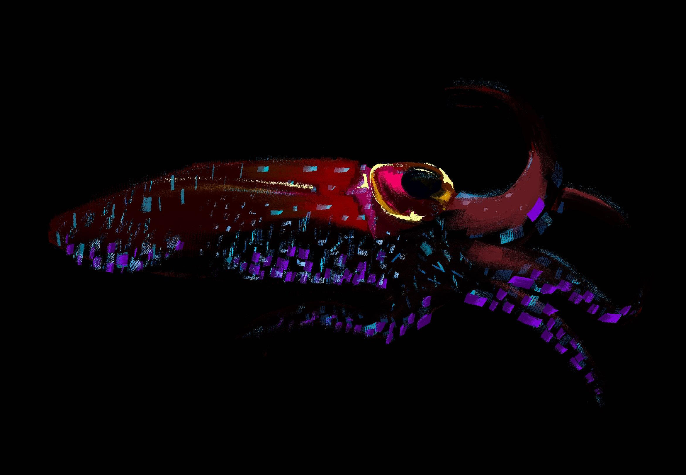 Firefly Squid Illustration